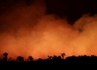 Les incendies en Amazonie menacent désormais la santé de la terre