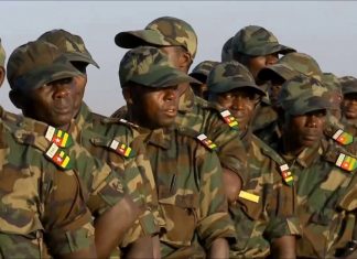 Forces armées togolaises