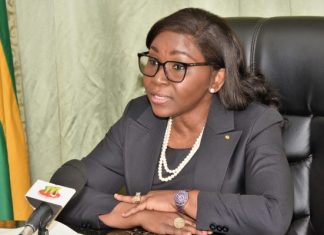 Les opérateurs économiques turcs invités à saisir les opportunités d’affaires qu’offre le Togo