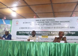 Togo : ouverture à Dapaong des fora régionaux des Producteurs Agricoles
