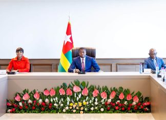 Togo : le gouvernement engage une réforme du code forestier et du dispositif d’investissement